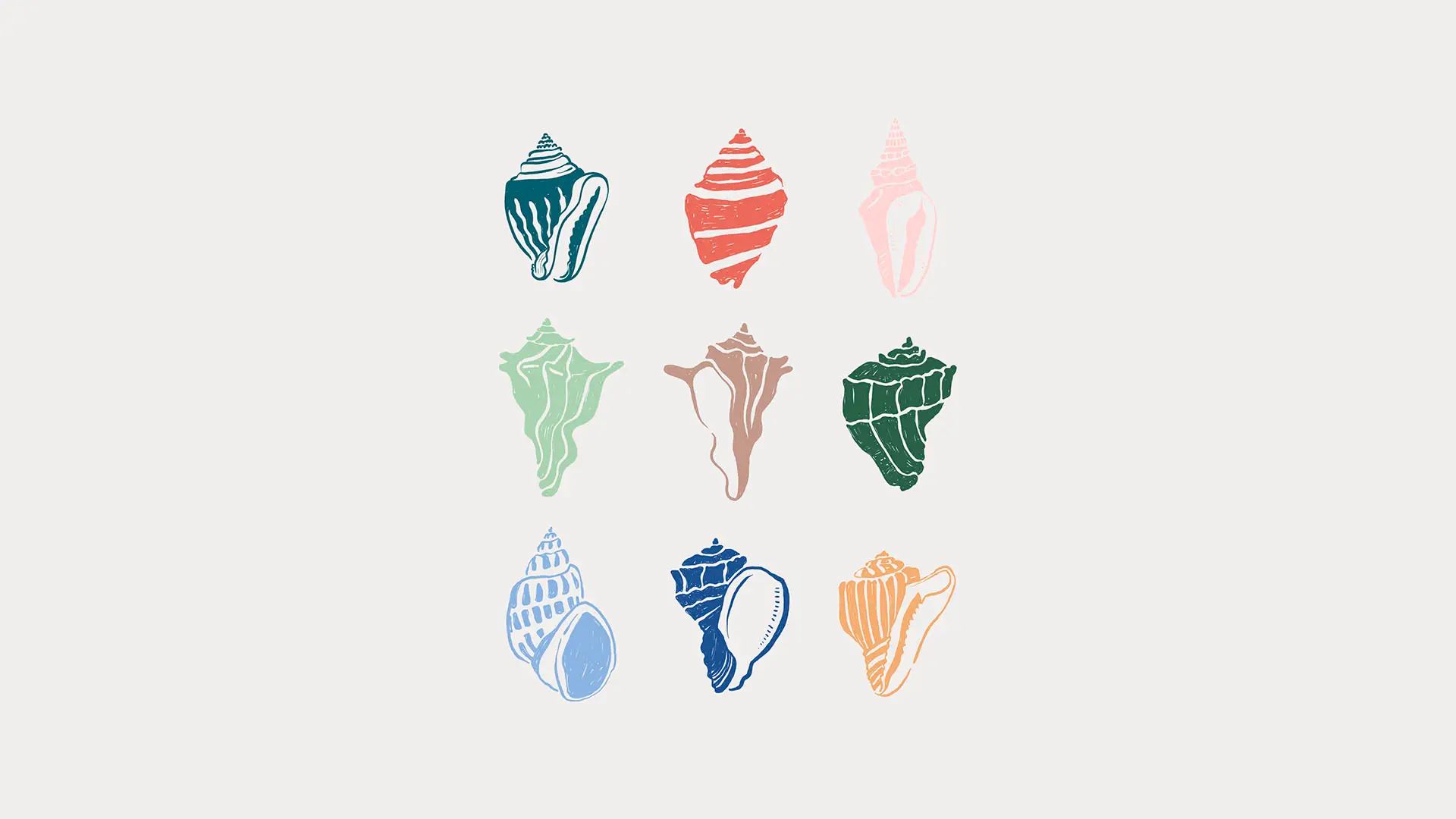 Nine illustrated seashells of various shapes and colors arranged in a 3x3 grid on a light background