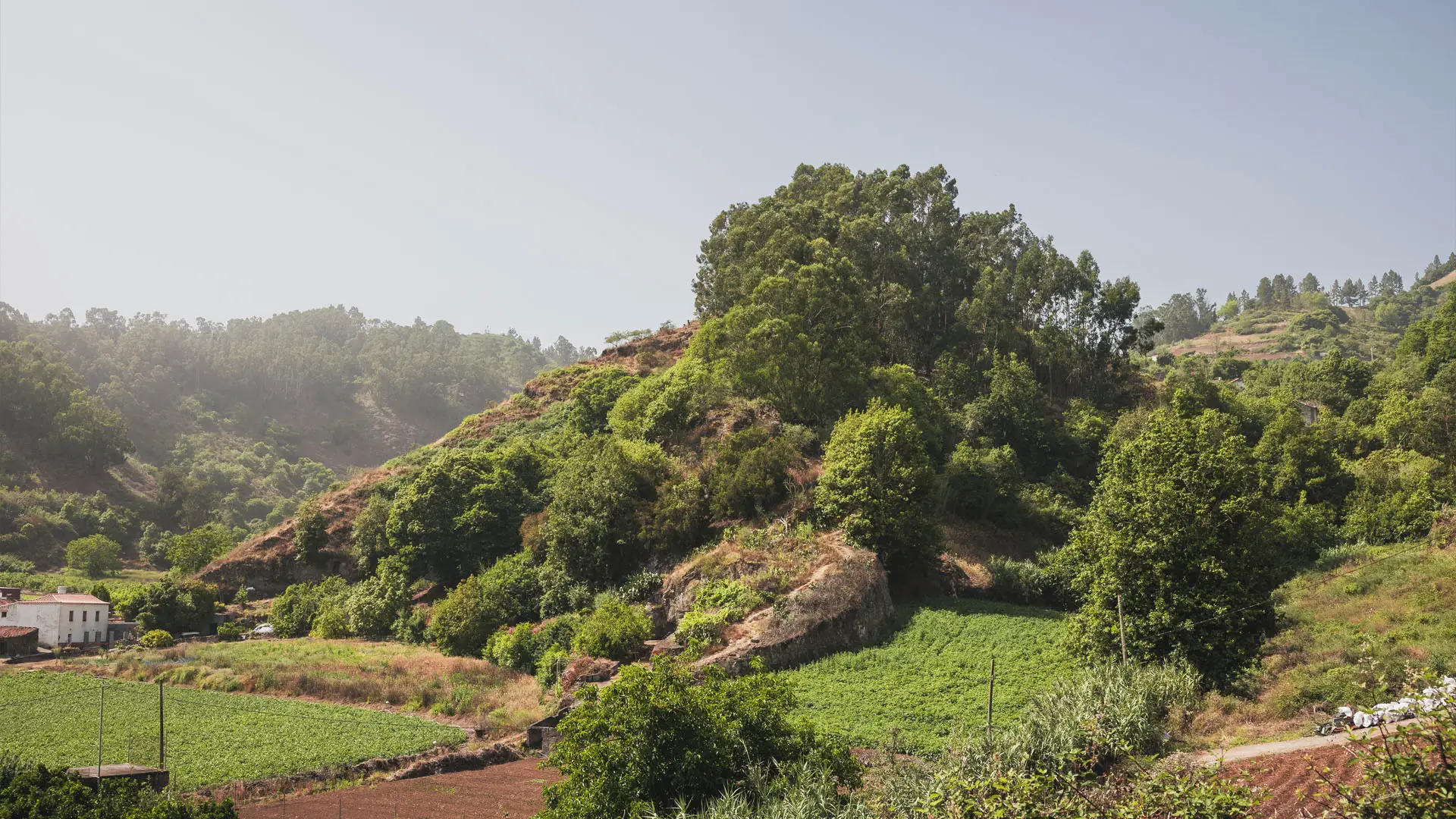 Rural hillside landscape with green crop fields, wooded slopes, and a white farmhouse under a hazy sky
